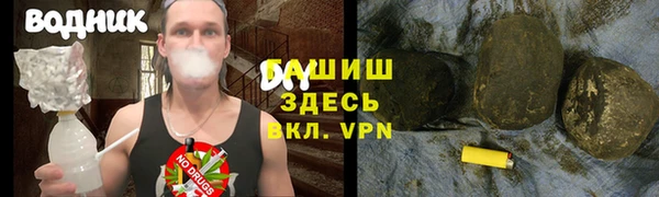 гидра Струнино