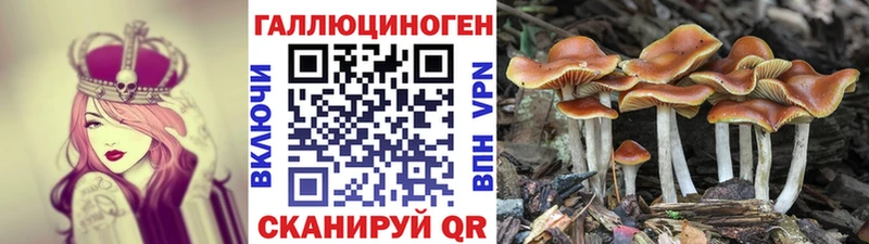 где купить наркотик  Бузулук  OMG ссылки  Галлюциногенные грибы MAGIC MUSHROOMS 